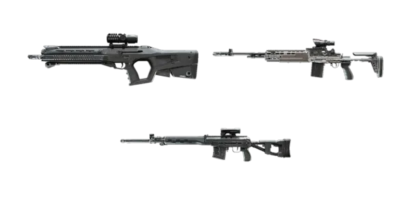 BF6 All DMRs Max Level