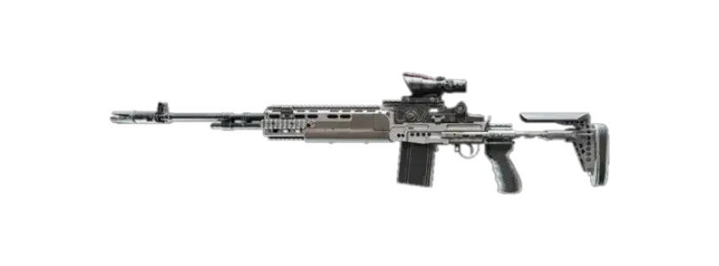 BF6 M39 EMR Leveling