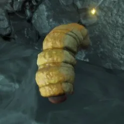 A corpse worm, the Common Sample found at graves