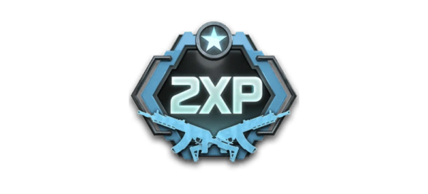 MW4 60 Min Double Weapon XP Token